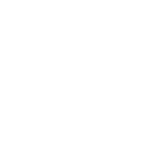 Casey's Law logo in white